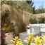 6 X 5 Pressure Treated Contemporary Screen Panel - Minimum Order Of 3 Panels