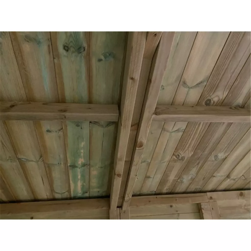 10 x 8 Windowless Premier Pressure Treated Apex Workshop product image